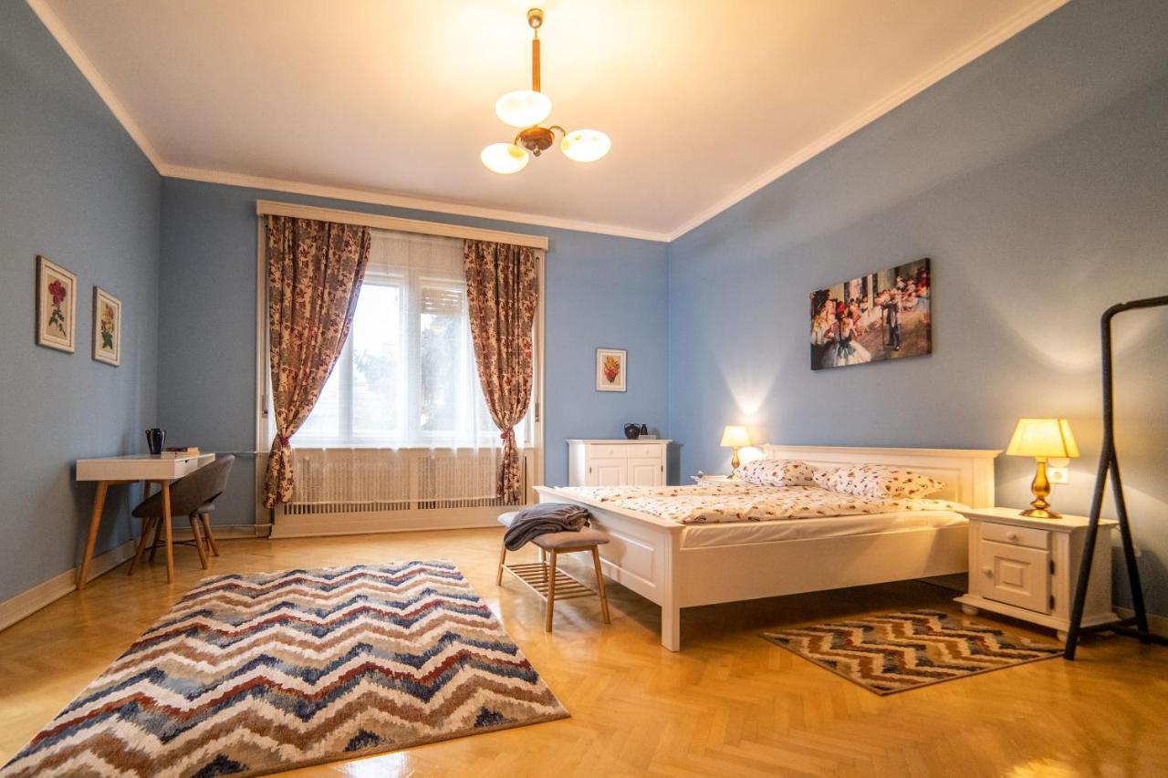 City House Тимишоара Экстерьер фото