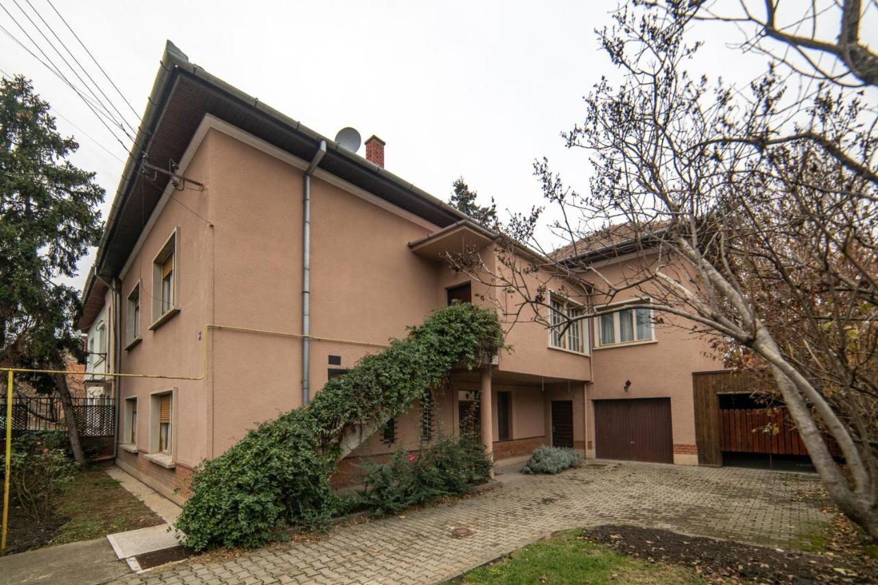 City House Тимишоара Экстерьер фото